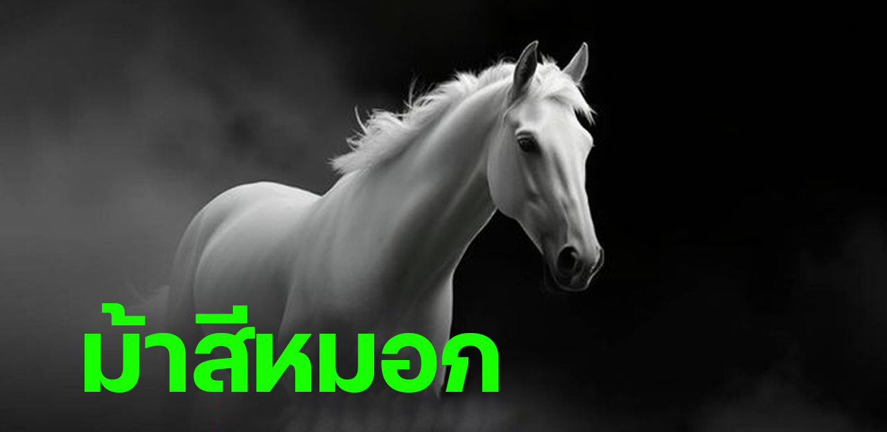หวยม้าสีหมอก ปล่อยเลขเด็ดชุดใหญ่ งวดนี้ 16 มิถุนายน 2568